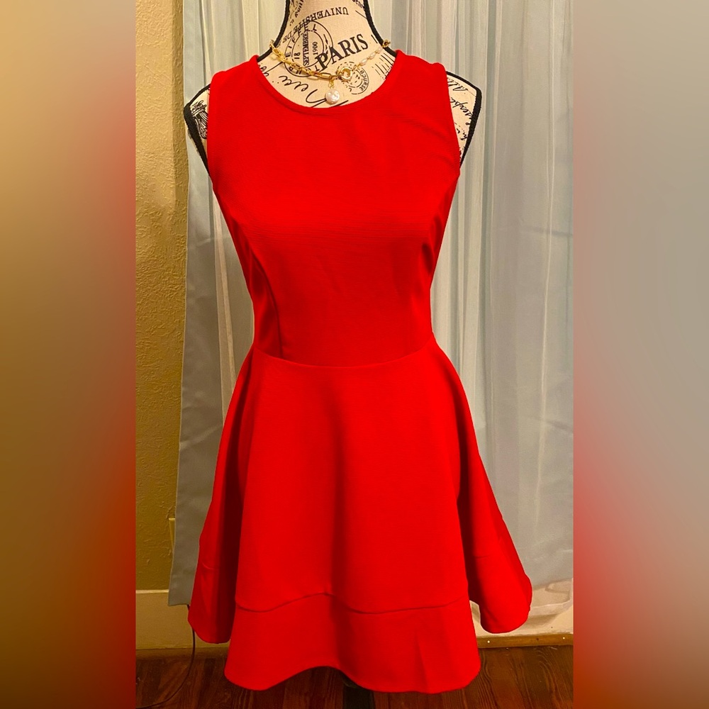Forever 21 red dress with lace back.